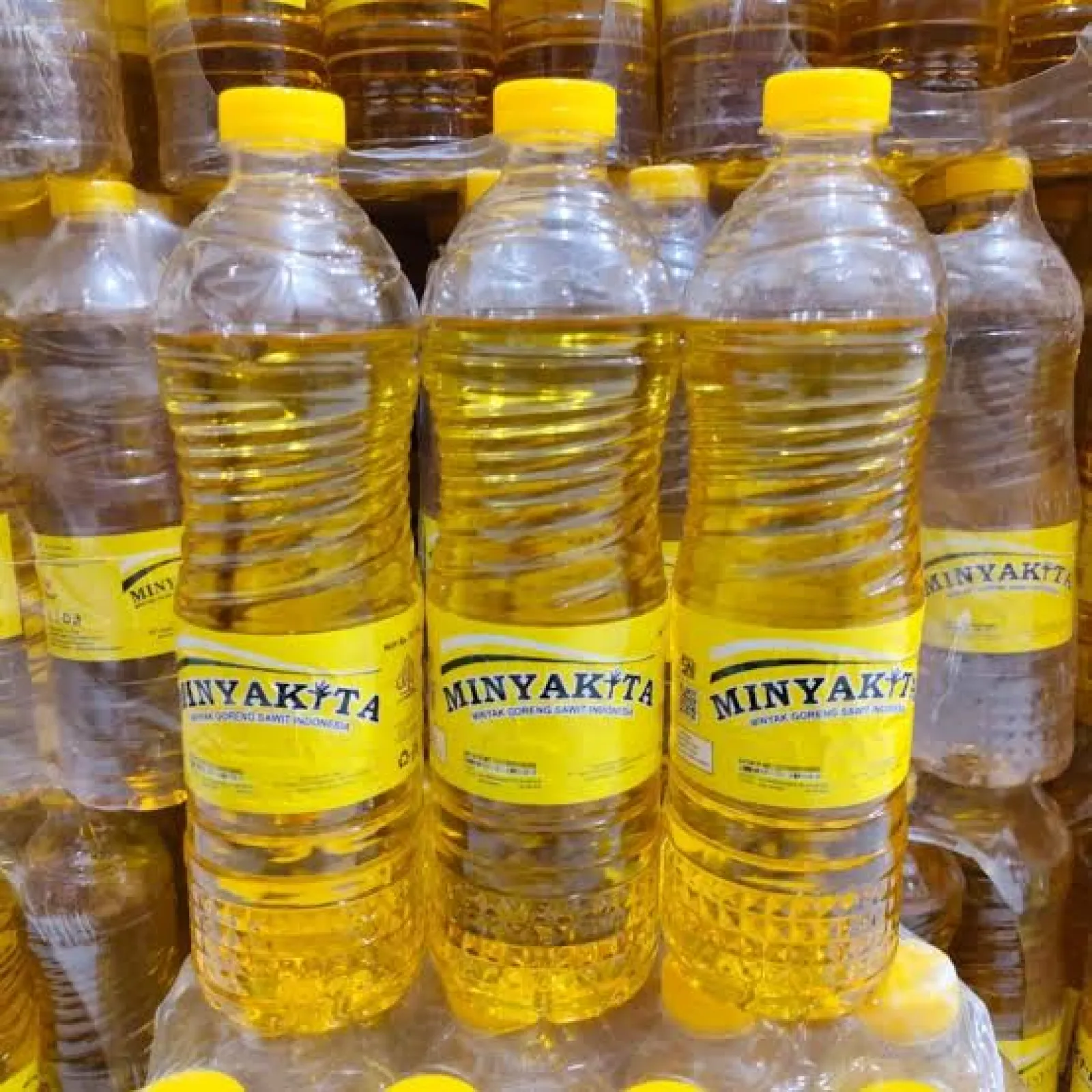 Minyak Kita