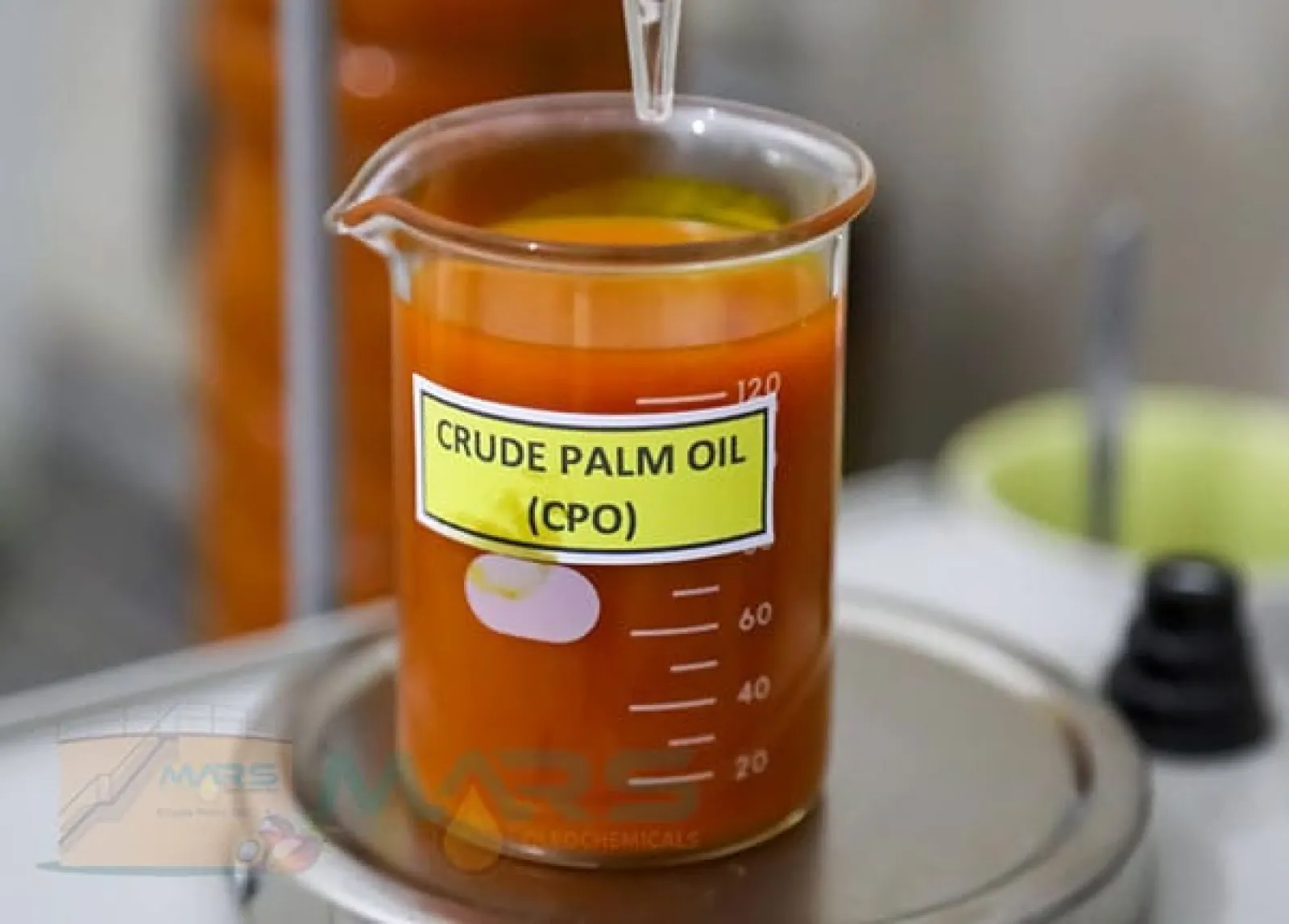 Crued Palm Oil (CPO)